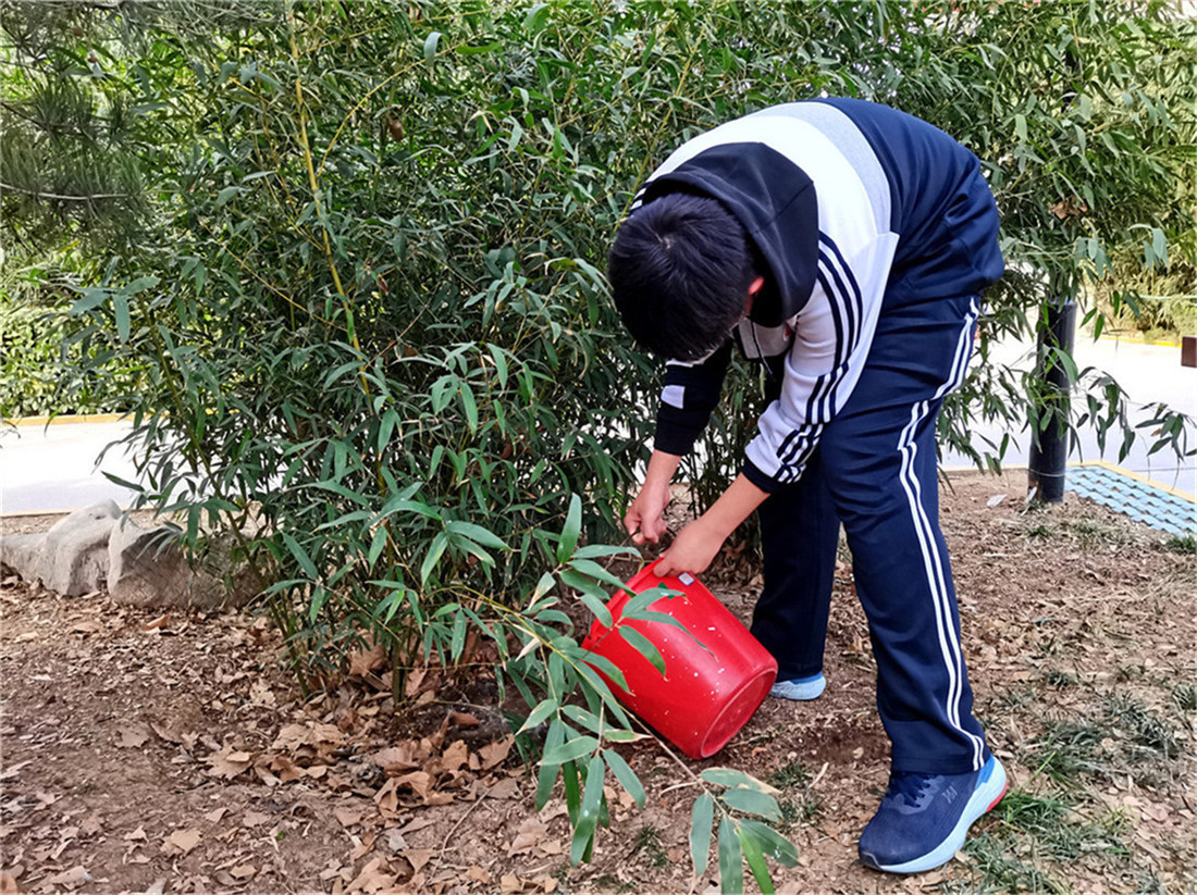 雷鋒使者在行動(dòng) 愛綠護(hù)綠美校園